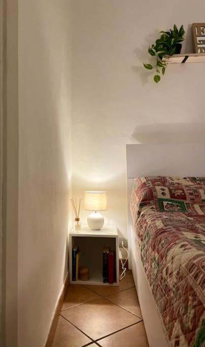 “A Ca Di Amelia” Apartment ซาโวนา ภายนอก รูปภาพ